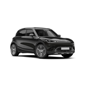 Elektrisch leasen of autodelen in Gent voor bedrijven en gezinnen