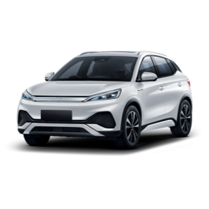 Elektrisch leasen of autodelen in Gent voor bedrijven en gezinnen