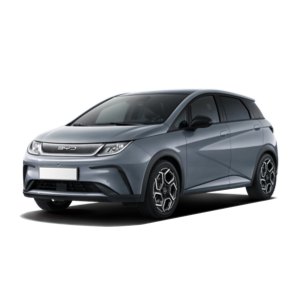 Elektrisch leasen of autodelen in Gent voor bedrijven en gezinnen