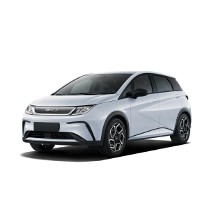 Elektrisch leasen of autodelen in Gent voor bedrijven en gezinnen